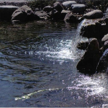 Water Features and Gardens