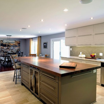 Ottawa Transition Kitchen 2