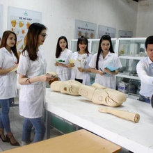 Sinh viên Y Dược Thực hành