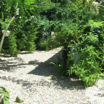 Un jardin original à Toulon