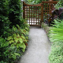 paths