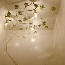 licht