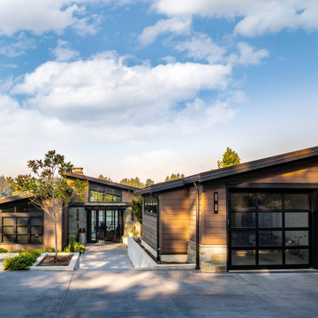 Light-Filled Modern