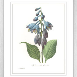 Botanicals - Framed Art Prints (BOT02) - Artwork
