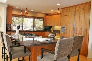 Example of a minimalist kitchen design in San Francisco