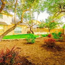 San Antonio backyard