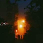 Vũ Lê Chăm's photo