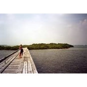 Sage Rubinstein's photo
