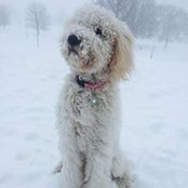Andra Lee's photo