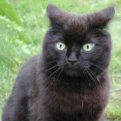 Vanessa Rabito's photo