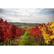 Marilee Ruggles's photo