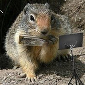 Doug Harmon's photo