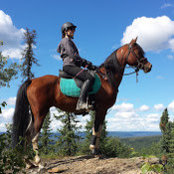 aspenridgeranch Ginger Hamlin's photo
