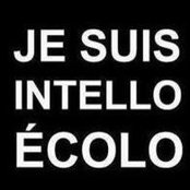 Catherine Lefebvre's photo