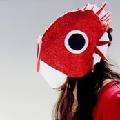 Fish Cake's photo