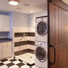 Bookcase and dogwash