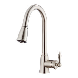 Danze Prince&trade; Single handle Pull-Down Kitchen Faucet - Kitchen Faucets