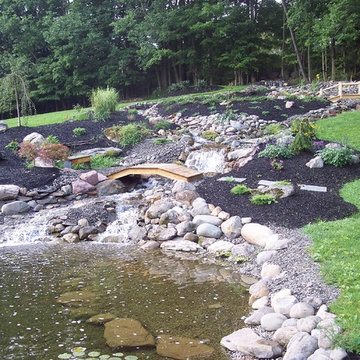 Ponds and water features
