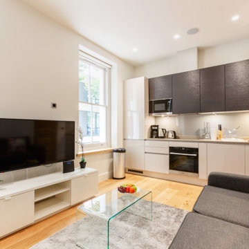 A Stunning Living Room in London