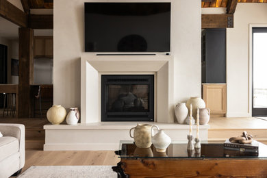 Living room - transitional living room idea in Denver