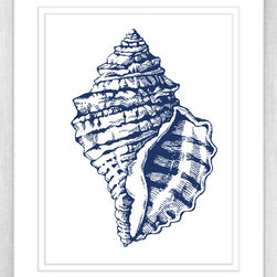 Navy Conch Shell - Artwork