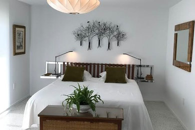 Bedroom - mid-sized contemporary master gray floor and carpeted bedroom idea in Los Angeles with white walls and no fireplace