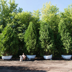 Pontiac Nursery - Products