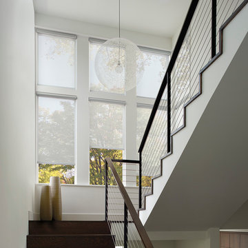 Screen & Roller Shades
