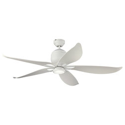 Contemporary Ceiling Fans by Better Living Store