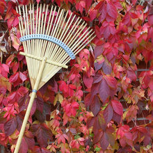 lanetta_johnson's ideas