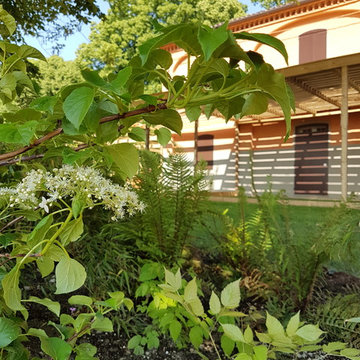 Metamorfosi di un cortile