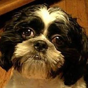 Kathy Weber's photo