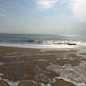 Maria King's photo