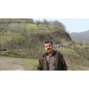 Photo de Esmail Rostami
