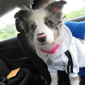 Foto de Ian Smith