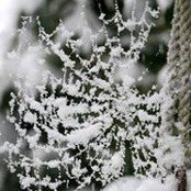 Foto von Barb Fischer
