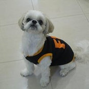 Angie Ong's photo