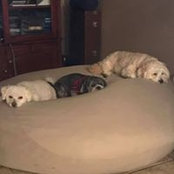 Roberta Minsky-Vandewater's photo