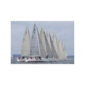Suzanne Diess's photo