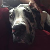 Michelle Pitkethley McNally's photo