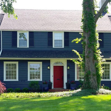 The Blue House