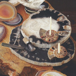 Roost Petrified Wood Cheese Tray - SKU: ST381 - Major Kitchen Appliance Parts And Accessories
