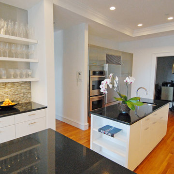 Back Bay Modernism Kitchen