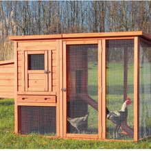 Chickens