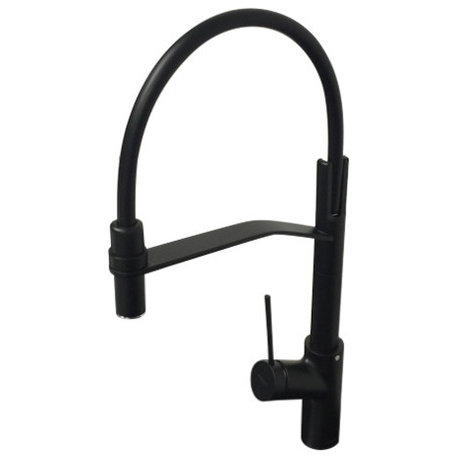 Viva Mono Kitchen Faucet