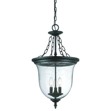 Acclaim Belle 3-Light Outdoor Hanging Lantern 9316BK - Matte Black