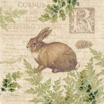 Woodland Trail Iv, Rabbit Print