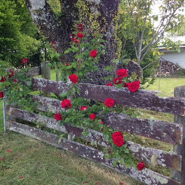 Country garden