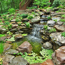 Steep Backyard Landscaping