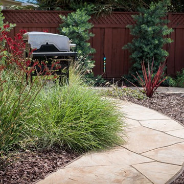 Backyard Circulation and Color